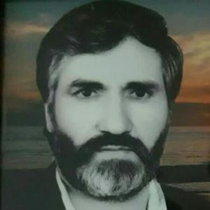 حبیب کشت گر