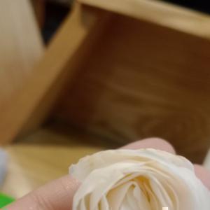 غلام نبی ابراهیمی