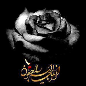 زهرا سنگ سفیدی