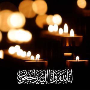 علیرضا فروردین